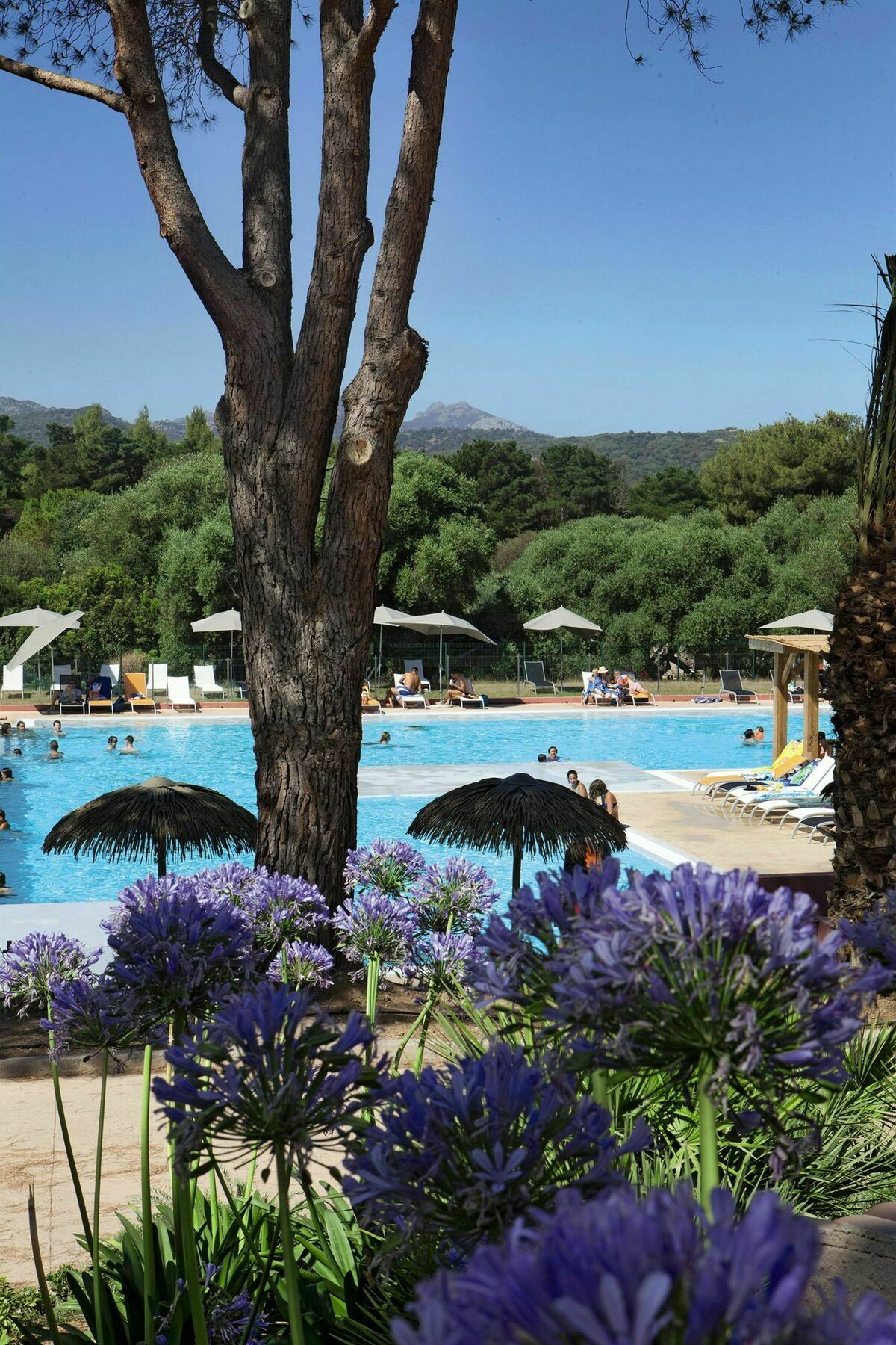 Belambra Clubs Belgodere - Golfe De Lozari Hotell Exteriör bild